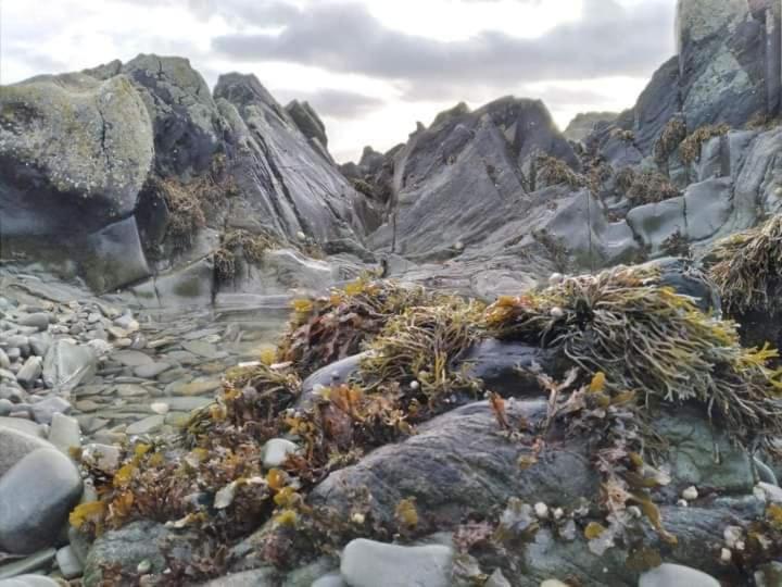 Port Lodge Northern Ireland 포타페리 외부 사진